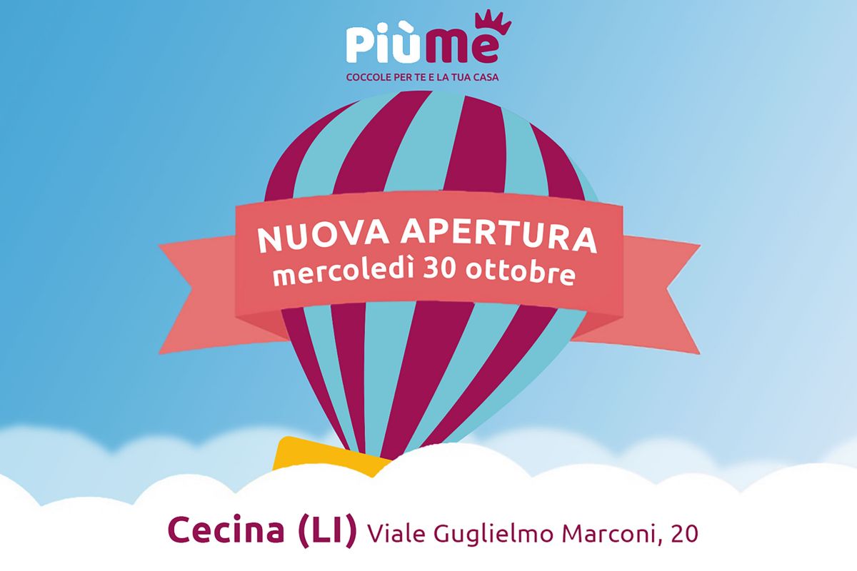 cecina